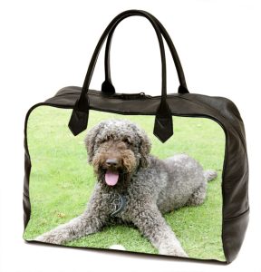 Photo Hold-All in Leather or Canvas