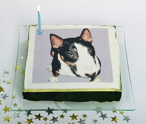 Doggie Birthday Cake