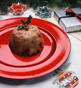 Doggie Plum Christmas Pudding