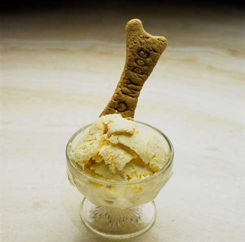 Haddock Ice Cream with a Doggie Cookie