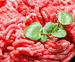 Scottish | Kobe Mince