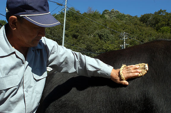 Massage with oil and a special straw brush