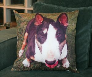 Photo Cushion