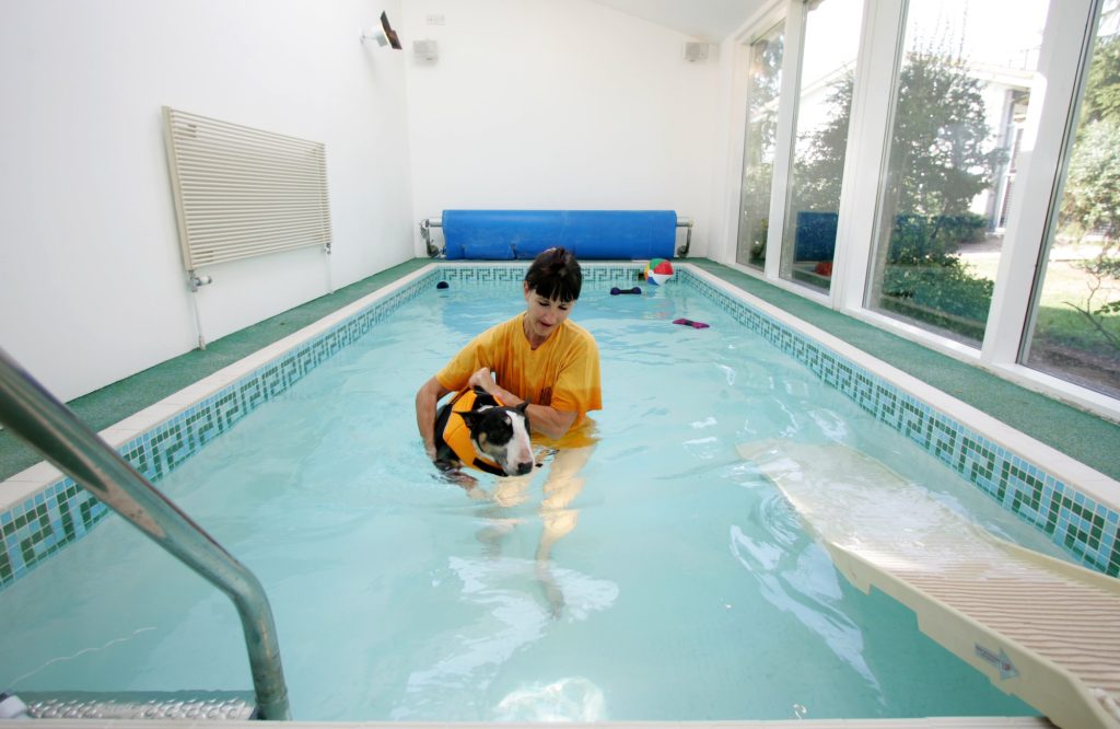 Tapa having a swim