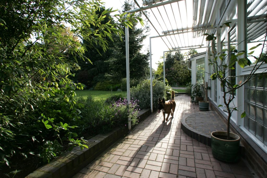 Tiny on evening patrol