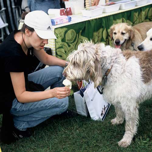 wag2