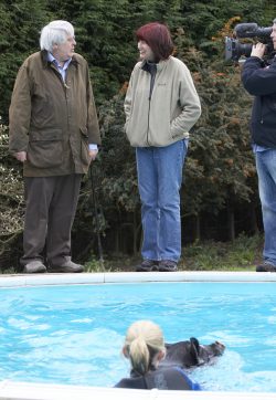 Discussing the finer nuances of pig swimming for Gordon Ramsey's F-Word programme