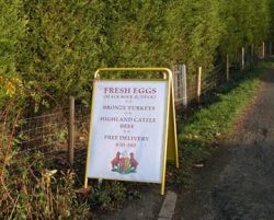 Our new yellow sign in front of the farm. Visitors are always welcome.