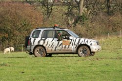 We couldn't catch the Highland cow or Highland steer having tried everything. We finally called theWest Midland Safari Parkand Bob Lawrence, their Head Warden, came out to assist us "dart" the cattle. This photo was taken in sunny Worcestershire on a December afternoon --- not the Mara.