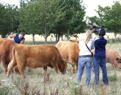 Filming of Lord Rannoch being massaged