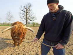 Matthew getting the "feel" of walking a Highland bull.