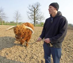 Matthew Barney "testing" Lord Rannoch to see how well he moves and can be guided along. Our field looks more like the Kalahari than sunny Worcestershire.