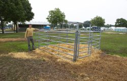 Picking up the temporary pen at the Royal Show, following the deluge.