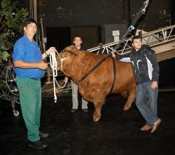 With Digby Gribble, Grzegorz Bednarski, and Artur Ivanyan.