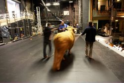 At the Manchester Opera House. Ross was first walked onto the stage with no props, set, etc. The cable attached to the harness around Ross' chest was designed to stop him from running and falling into (say) the orchestra pit. But, in the final analysis, he was incredibly well-behaved.