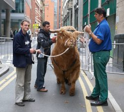 In the lane behind the Manchester Opera House, Ross of Bien Esk waits for his cue to go on stage. With Grzegorz, Artur, and Digby Gribble.
