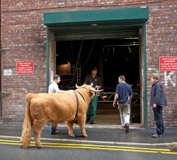 Getting ready to go down the ramp to the stage of the Manchester Opera House.
