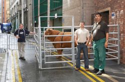 Digby Gribble, Artur Ivanyan and Grzegorz Bednarski in the alley behind the Manchester Opera House. The portable pen (which Digby was able to borrow) served as Ross' "dressing room."