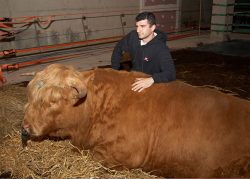 Artur Ivanyan Posing With Ross