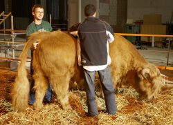 We had a small concern that the space beneath the Magistrates' Court was a bit stuffy, so Grzegorz (a veterinary student in Poland) purchased a digital thermometer at Boots and Grzegorz took Ross' temperature regularly. All was well.
