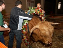 Grzegorz and Artur help Matthew Barney put the garland of Egyptian flowers on Ross.