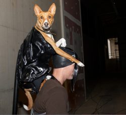 On stage Matthew (and Zuko) will become Anubis.