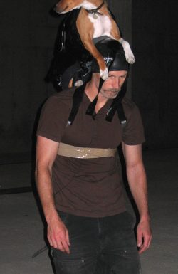 Testing the dog harness forGuardian of the Veilwith Zuko.