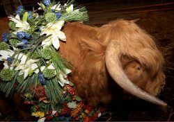The flowers of Egypt, as part of Ross' conversion into the Apis bull.