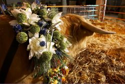 Egyptian Floral Garland