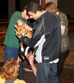 The special harness is on Matthew Barney's head. Artur and Grzegorz assist Zuko's owner, Marge, in placing Zuko into the harness.