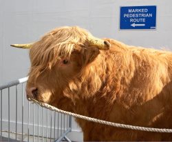 Photographed in the City of Manchester.