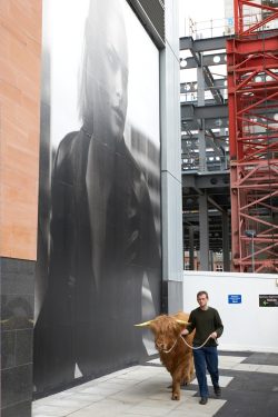 Photographed in the City of Manchester, July 2007