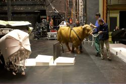 Seeing if Ross had any reaction to the wrecked car (with white cow dummy) on stage. He didn't.