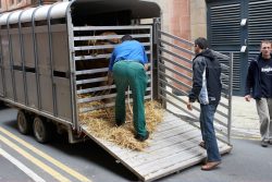 Behind the Manchester Opera House, for Ross' first on-stage experience.