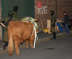 The three bull handlers --- and Ross the Highland bull --- waiting at the green roll-up door behind the Manchester Opera House for their cue.