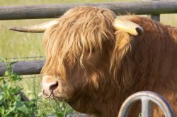 Back on the farm, in the sunshine.