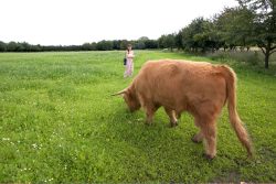 Ross released into Birchfields 1 --- ten acres of greenery for Ross and Betty to share together.