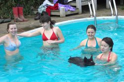 12 Norwegian agricultural students visited us March 2007 and wanted to go swimming with pigs. These girls are really brave because although the pool is heated it is early March and the water isn't that warm.