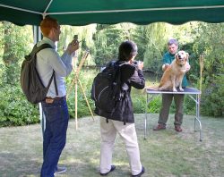 Mr. Daisuke Okayasu, London Correspondent forThe Tokyo Shimbunand Andy Joyce watching Richard Chamings perform canine acpuncture. The Japanese daily newspaper is doing an article on the pampering of pets throughout the world.