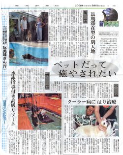 The Tokyo Shimbunis a large daily newspaper in Japan. They did an article about pampering pets throughout the world: dog swimming in Washington, D.C., acupuncture in Beijing, and swimming-acupuncture-massage at Lucies Farm. The photograph shows Richard Chaming, our veterinarian, with his dog Spice talking with Marjorie, as Gregorz swims in the pool.