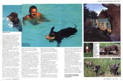 Lucies Farm is featured in a four page colour spread in the October 2006 issue ofWorcestershire Life--- it seems to be spread at every news agent and grocery store in the county. This is page 3 and 4 of the article.