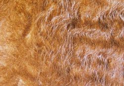 Rannoch's Fur