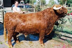 Lord Rannoch of Lucies - Bath time