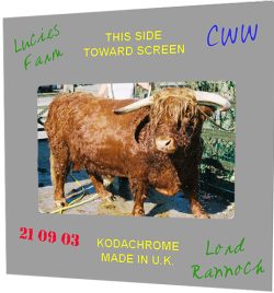 Lord Rannoch of Lucies