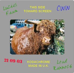 Lord Rannoch of Lucies