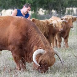 Who says bulls are scary