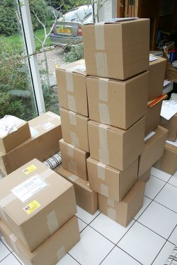 We seem to be running in a back-order situation most of the time. When the aged beef from a steer comes back from the cutter, we rush to get it shipped out to the waiting customers. Here's one day's shipment: the Scottish | Kobe beef goes out, and then our cupboard is bare again.Lucies Farm e-Commerce Site