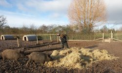 Preparing the base for the pig arc.