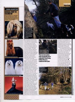 Maxim, June 2005 Canine to Five (page 121) Maxim June 2005, Canine to Five, page 121